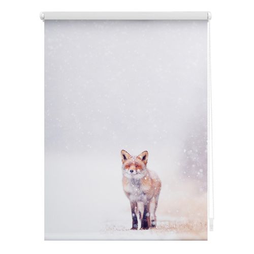 4250434121543 - Lichtblick Rollo Klemmfix ohne Bohren blickdicht Fuchs im Schnee - Weiß Rot 4250434121543 - Lichtblick Rollo Klemmfix ohne Bohren blickdicht Fuchs im Schnee - Weiß Rot