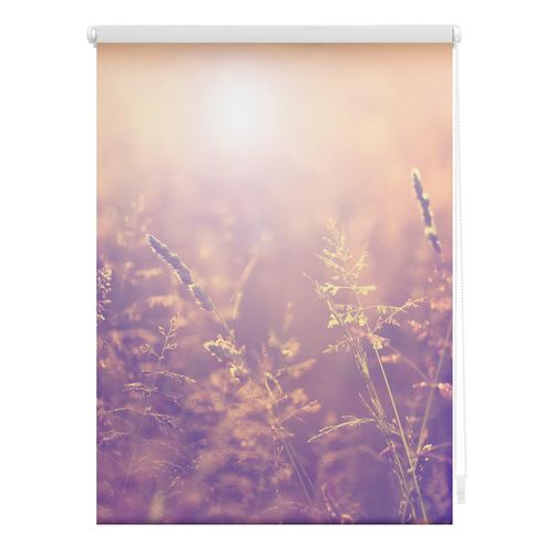 4250434119991 - Lichtblick Rollo Klemmfix ohne Bohren blickdicht Sommerabend - Orange