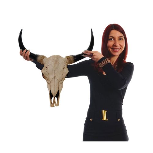 4057651172842 - Deko Schädel 45cm MCW-T454 Polyresin Stier Bulle Longhorn Kopf Trophäe In- Outdoor ~ naturfarben 4057651172842 - Deko Schädel 45cm MCW-T454 Polyresin Stier Bulle Longhorn Kopf Trophäe In- Outdoor ~ naturfarben