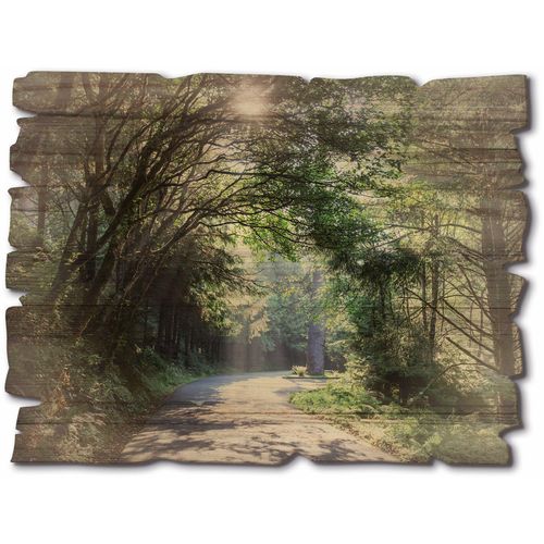 4062144606520 - Holzbild ARTLAND Sonniger Wald Bilder Gr B H T 40 cm x 30 cm x 06 cm Holzbild Baumbilder Querformat 1 St grün Holzbild Holzbilder 4062144606520 - Holzbild ARTLAND Sonniger Wald Bilder Gr B H T 40 cm x 30 cm x 06 cm Holzbild Baumbilder Querformat 1 St grün Holzbild Holzbilder