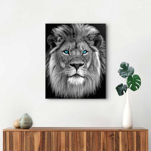 8714597615388 - Wandbild REINDERS Löwe mit blaue Augen Bilder Gr B H T 40 cm x 50 cm x 2 cm schwarz (schwarz weiß) Kunstdrucke