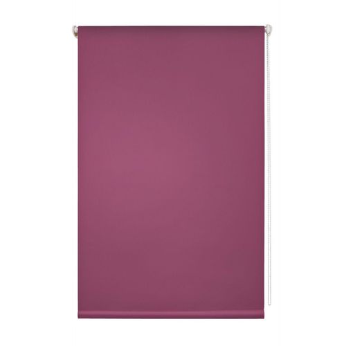 4250434104638 - Plissee Thermo-Rollo Duo-Rollo Klemmfix ohne Bohren Lichtblick B-Ware einwandfrei Thermo-Rollo Fuchsia 80 cm 150 cm