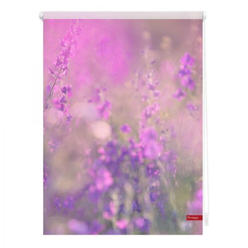 4250434115610 - Lichtblick Rollo Klemmfix ohne Bohren blickdicht Blumenwiese - Fuchsia Violett 100 x 150 cm (B x