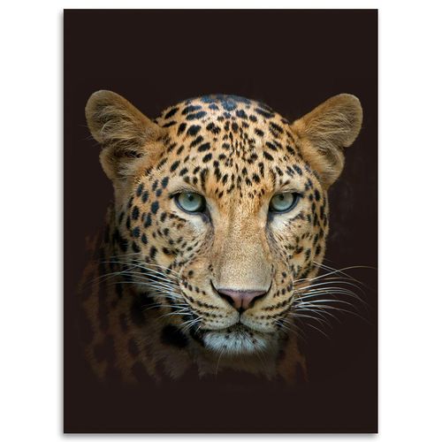 4024008148874 - Flanell Wohndecke Leopard