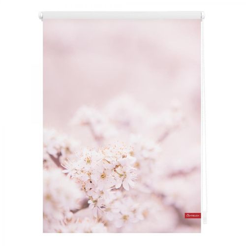 4250434118536 - Lichtblick Rollo Klemmfix ohne Bohren blickdicht Kirschblüten - Rosa Weiß 80 cm x 150 cm (B x L)