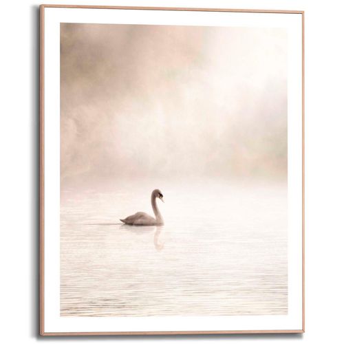 8714597625479 - Poster REINDERS Schwan im Nebel Bilder Gr B H T 40 cm x 50 cm x 16 cm beige Poster 8714597625479 - Poster REINDERS Schwan im Nebel Bilder Gr B H T 40 cm x 50 cm x 16 cm beige Poster