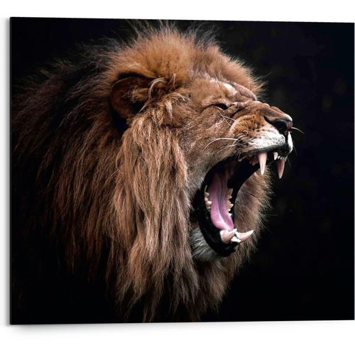 8714597626520 - Bild ROARING LION (LBH 40x2x50 cm) LBH 40x2x50 cm bunt Kunstdruck Gemälde Wandbild