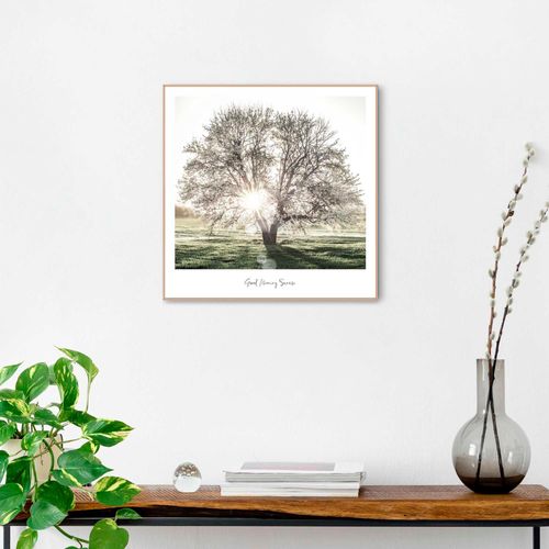 8714597615128 - Poster REINDERS Morgensonne Bilder Gr B H T 50 cm x 50 cm x 16 cm grün Poster 8714597615128 - Poster REINDERS Morgensonne Bilder Gr B H T 50 cm x 50 cm x 16 cm grün Poster