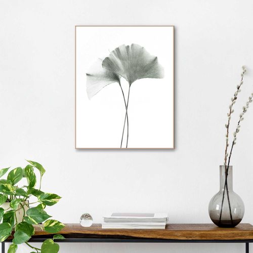 8714597598605 - Kunstdruck REINDERS Ginkgo Blatt Bilder Gr B H T 40 cm x 50 cm x 16 cm weiß Kunstdrucke 8714597598605 - Kunstdruck REINDERS Ginkgo Blatt Bilder Gr B H T 40 cm x 50 cm x 16 cm weiß Kunstdrucke