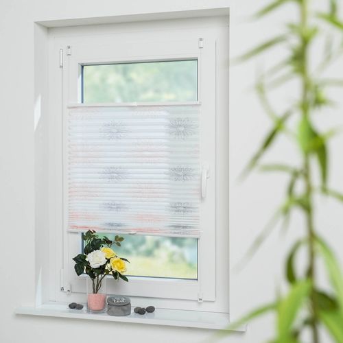 4016318414688 - Liedeco Plissee »Blume grau« Lichtschutz ohne Bohren verspannt