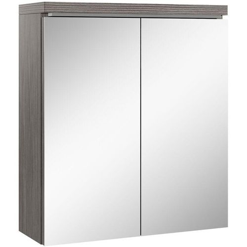 8719128569659 - - Badezimmer Spiegelschrank Toledo 60cm Grau Eiche – Stauraum Unterschrank Möbel zwei Türen Badschrank - Grau eiche