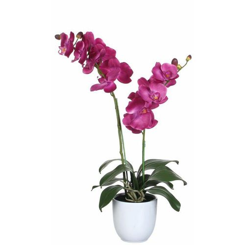 8712799767201 - - Mica Kunstpflanze Phalaenopsis im Topf violett 66 x 38cm Kunstpflanzen