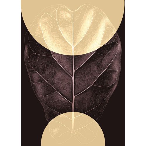 4055065176913 - Wandbild »Shadow Theatre« (1 St) Deutsches Premium-Poster Fotopapier mit seidenmatter Oberfläche und hoher Lichtbeständigkeit Für fotorealistische Drucke mit gestochen scharfen Details und hervorragender Farbbrillanz