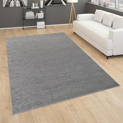 4061981125690 - Teppich Für Wohnzimmer Einfarbig Kurzflor Schlicht Und Modern In Dunkel Grau ø 160 cm Rund - Paco Home