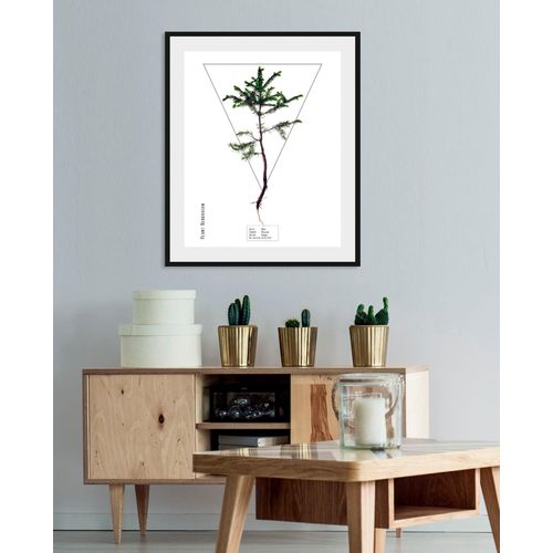 4049009844211 - Bild QUEENCE Abies Bilder Gr B H 40 cm x 50 cm Wandbild Hochformat 1 St grün Bild Kunstdruck Bilder mit Rahmen 4049009844211 - Bild QUEENCE Abies Bilder Gr B H 40 cm x 50 cm Wandbild Hochformat 1 St grün Bild Kunstdruck Bilder mit Rahmen