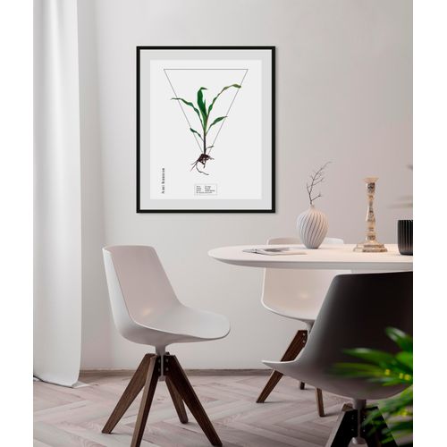 4049009844099 - Bild QUEENCE Zea mays Bilder Gr B H 40 cm x 50 cm Wandbild Hochformat 1 St grün Bild Kunstdruck Bilder mit Rahmen 4049009844099 - Bild QUEENCE Zea mays Bilder Gr B H 40 cm x 50 cm Wandbild Hochformat 1 St grün Bild Kunstdruck Bilder mit Rahmen