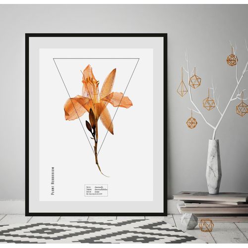 4049009844273 - Bild QUEENCE Hemerocallis Bilder Gr B H 40 cm x 50 cm Wandbild Hochformat 1 St orange Bild Kunstdruck Bilder mit Rahmen