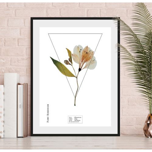 4049009844297 - Bild QUEENCE Alstroemeriaceae Bilder Gr B H 30 cm x 40 cm Wandbild Hochformat 1 St orange Bild Kunstdruck Bilder mit Rahmen 4049009844297 - Bild QUEENCE Alstroemeriaceae Bilder Gr B H 30 cm x 40 cm Wandbild Hochformat 1 St orange Bild Kunstdruck Bilder mit Rahmen