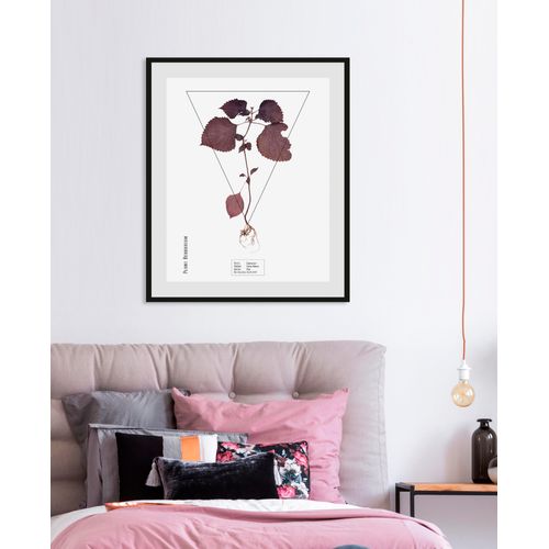 4049009843856 - Bild QUEENCE Lamiaceae Bilder Gr B H 40 cm x 50 cm Wandbild Hochformat 1 St lila Bild Kunstdruck Bilder mit Rahmen