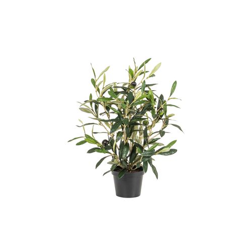 4016550338131 - Botanic-Haus Kunstblume »Olive« 4016550338131 - Botanic-Haus Kunstblume »Olive«