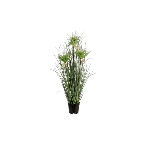 4016550340202 - Botanic-Haus Kunstblume »Papyrus im Topf« 4016550340202 - Botanic-Haus Kunstblume »Papyrus im Topf«