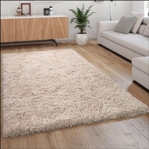 4250857590797 - Hochflor Teppich Kuschelig Modern Shaggy Flokati Stil Gemütlich Uni In Beige 80x150 cm - Paco Home