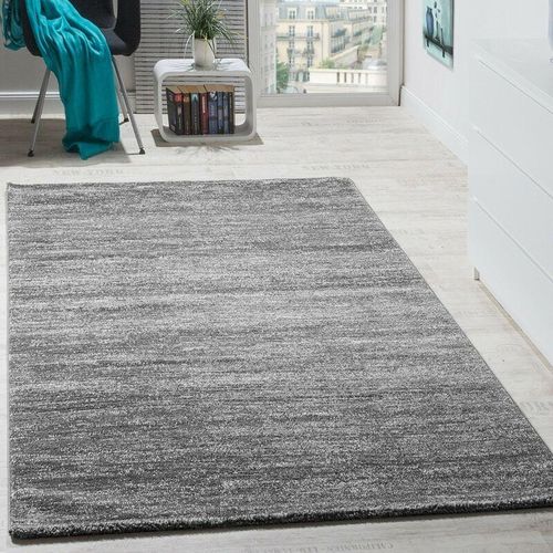 4250857559763 - Teppich Modern Wohnzimmer Kurzflor Gemütlich Meliert in Grau Creme 120x170 cm - Paco Home