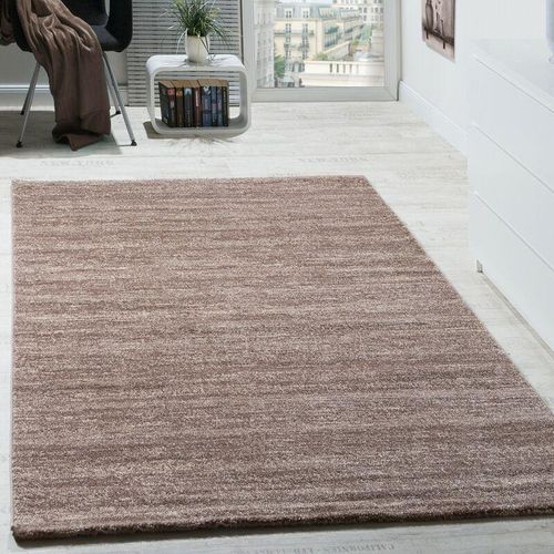 4250857579921 - Teppich Modern Wohnzimmer Kurzflor Gemütlich Meliert Preiswert in Beige 70x250 cm - Paco Home