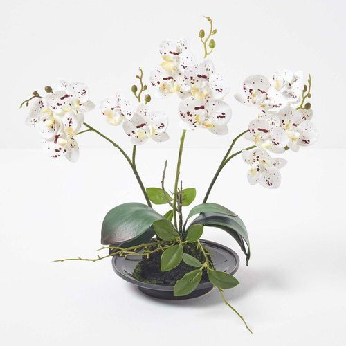 5056280712435 - Künstliche weiße Phalaenopsis-Orchidee im schwarzen Keramik-Topf 38 cm - Weiß - Homescapes