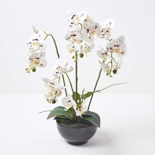 5056280712503 - Künstliche weiße Phalaenopsis-Orchidee im schwarzen Keramik-Topf 62 cm - Weiß - Homescapes