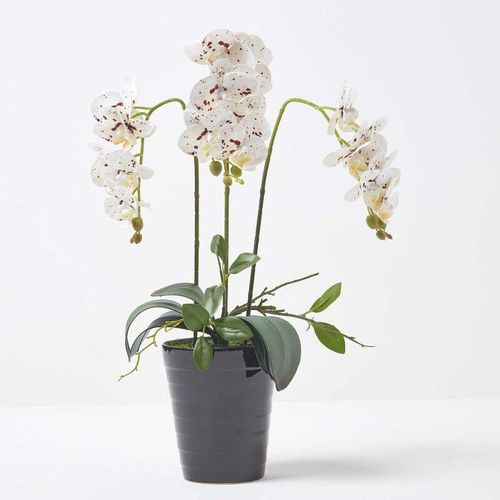 5056280712428 - Künstliche weiße Phalaenopsis-Orchidee im schwarzen Keramik-Topf 56 cm - Weiß - Homescapes