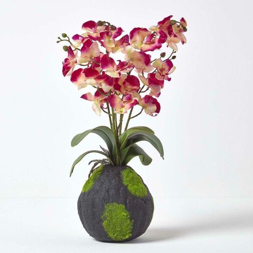 5055967490284 - Kunstblumen Phalaenopsis Orchidee Rosa mit einem natürliche Sockel 60 cm hoch - Rosa & Crème - Homescapes