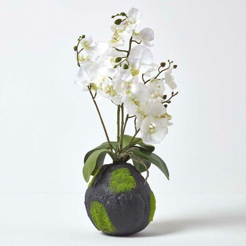 5055967490734 - Kunstblumen Phalaenopsis Orchidee weiß mit einem natürliche Sockel 60 cm hoch - Weiß - Homescapes