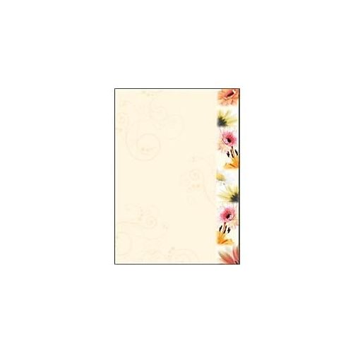 4004360887499 - Motif Papers DIN A4 Farbiges Papier Farbig Sortiert 90 g m2 Matt 50 Blatt