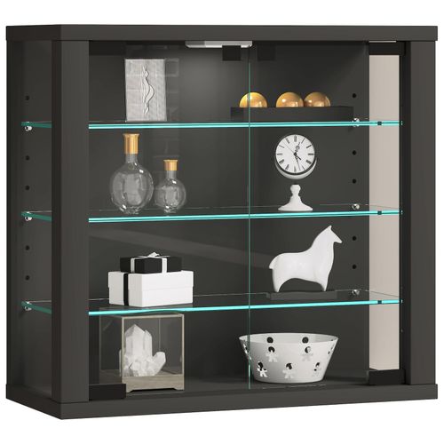 4051814427145 - Wandregal Glasvitrine hängend Vitrine Glas mit ESG-Sicherheitsglas Maße H 40 x B 43 x T 18 cm Hängevitrine Glas Modern und platzsparend Glas Vitrinenschrank - Vitrosa S Gr 43 grau (anthrazit) B43cm H40cm T18cm Holzwerkstoff Holz Spanplatte Glas Regale