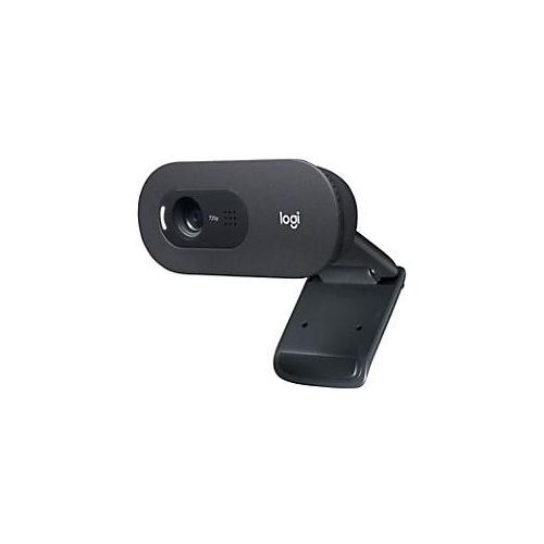 5099206093690 - Logitech C505 Webcam 1280 x 720 Pixel USB Schwarz 5099206093