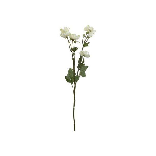 5712750330683 - Chic Antique Fleur Butterblume künstlich H72 cm creme 5712750330683 - Chic Antique Fleur Butterblume künstlich H72 cm creme