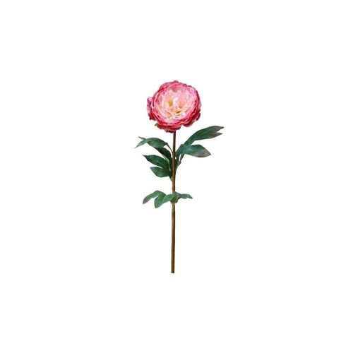 5712750311002 - Chic Antique Fleur Pfingstrose H74 cm rosa