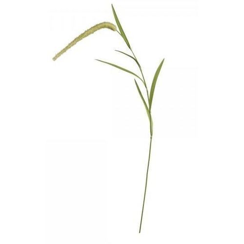 5712750197156 - Chic Antique Fleur Stroh H95 cm grün