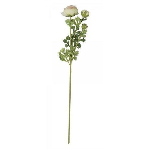 5712750195091 - Chic Antique Fleur Butterblume melone H70 L14 B7 cm melone