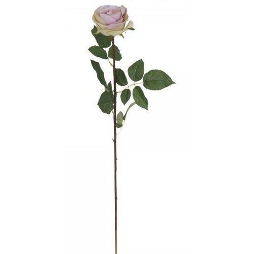5712750074310 - Chic Antique Fleur Rose rosa H71 D10 cm rosa 5712750074310 - Chic Antique Fleur Rose rosa H71 D10 cm rosa