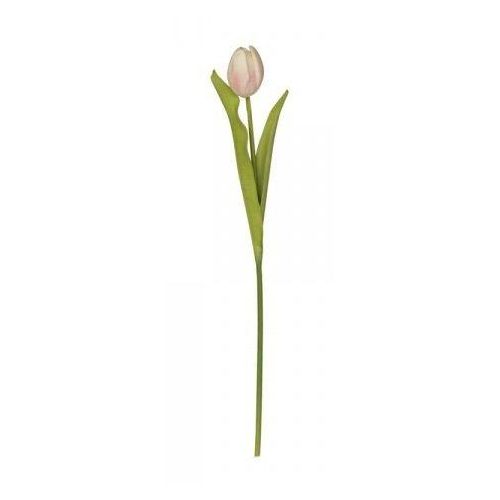 5712750219766 - Chic Antique Fleur Tulpe Kunstblume H47 cm powder