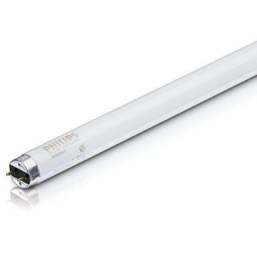 8711500888525 - Leuchtstoffröhre master tl-d Graphica - T8 965 Tageslicht - 18W (590mm) - Philips