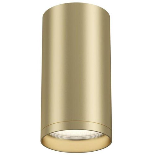 4251110061528 - Maytoni Lighting - Maytoni Focus s Maytoni Technical - focus s Technical focus s Aufbau-Deckenleuchte in Mattgold