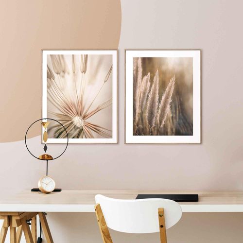 8714597617610 - Wandbild REINDERS Natur Botanisch - Pampas Löwenzahn Nahaufnahme Bilder Gr B H 40 cm x 50 cm 2 St grün (khaki) Kunstdrucke 8714597617610 - Wandbild REINDERS Natur Botanisch - Pampas Löwenzahn Nahaufnahme Bilder Gr B H 40 cm x 50 cm 2 St grün (khaki) Kunstdrucke