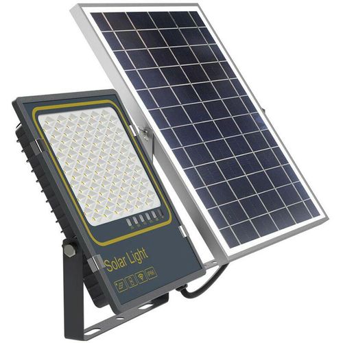 8435197405529 - Cristalrecord - Solar-LED-Projektor Bee IP66 100W 6000ºK