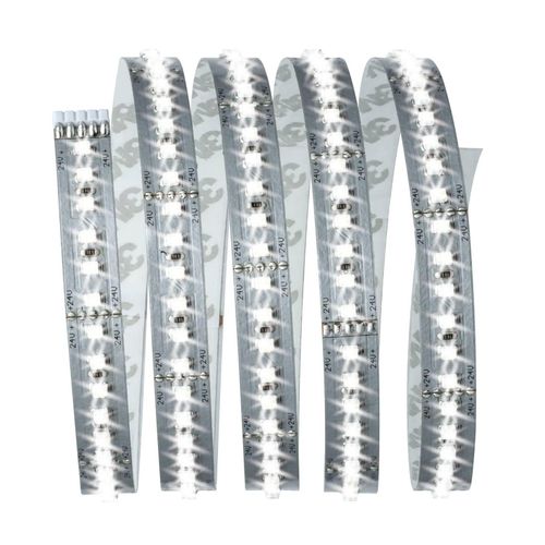 4000870705865 - Function MaxLED 1000 Basisset 15m Tageslichtweiß 17W 230 24V 36VA Silber - Silber - Paulmann