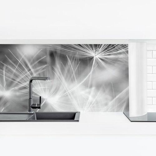 4063307761964 - Micasia - Küchenrückwand - Bewegte Pusteblumen Nahaufnahme auf schwarzem Hintergrund Größe HxB 40x140cm Material Smart