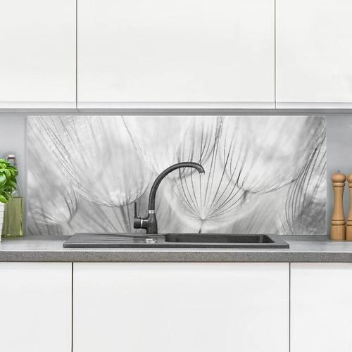 4055957668823 - Micasia - Spritzschutz Glas - Pusteblumen Makroaufnahme in schwarz weiß - Panorama Quer Größe HxB 50cm x 125cm