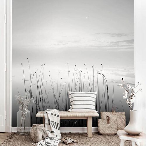 4066332011134 - Micasia - Fototapete - Idylle am See Schwarz-Weiß Größe HxB 192cm x 192cm Material Vlies Smart